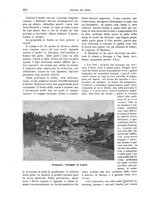 giornale/TO00189526/1898/unico/00000242