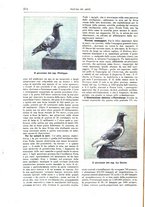 giornale/TO00189526/1898/unico/00000288