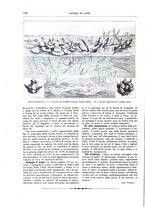 giornale/TO00189526/1898/unico/00000392