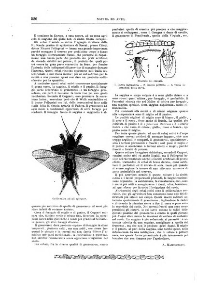 Natura ed arte rivista illustrata quindicinale italiana e straniera di scienze, lettere ed arti