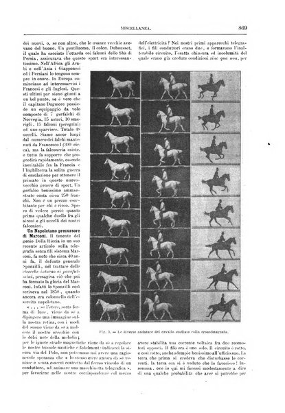 Natura ed arte rivista illustrata quindicinale italiana e straniera di scienze, lettere ed arti