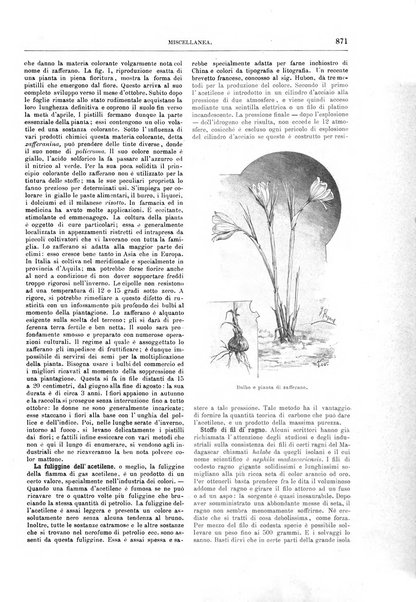 Natura ed arte rivista illustrata quindicinale italiana e straniera di scienze, lettere ed arti