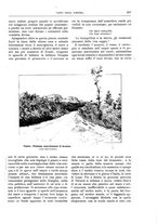 giornale/TO00189526/1898/unico/00001029