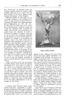 giornale/TO00189526/1898/unico/00001153