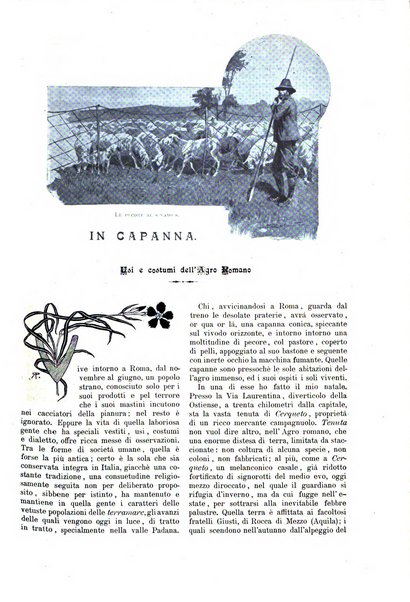 Natura ed arte rivista illustrata quindicinale italiana e straniera di scienze, lettere ed arti