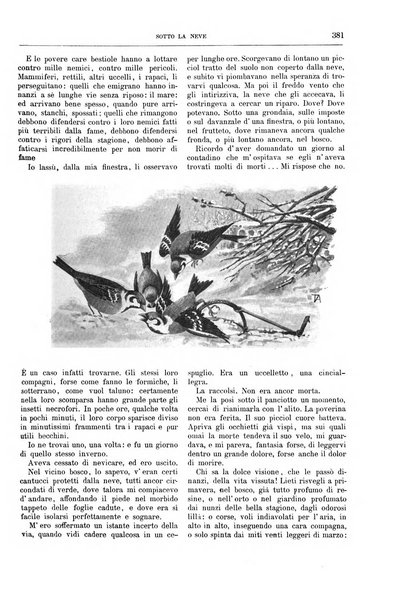 Natura ed arte rivista illustrata quindicinale italiana e straniera di scienze, lettere ed arti