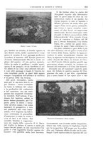 giornale/TO00189526/1899-1900/unico/00000451