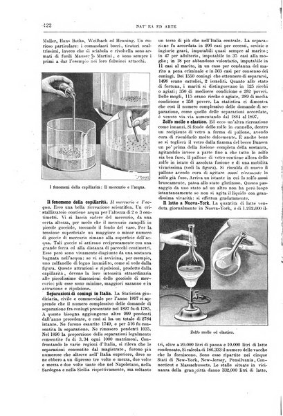 Natura ed arte rivista illustrata quindicinale italiana e straniera di scienze, lettere ed arti