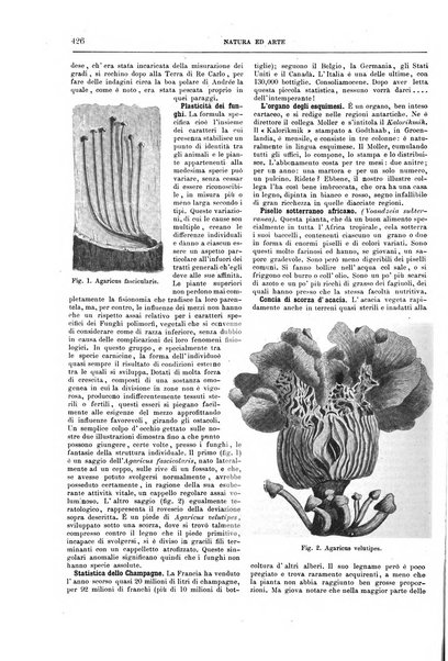 Natura ed arte rivista illustrata quindicinale italiana e straniera di scienze, lettere ed arti