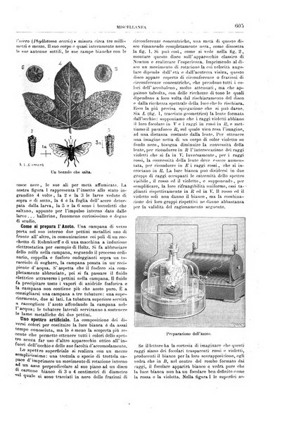 Natura ed arte rivista illustrata quindicinale italiana e straniera di scienze, lettere ed arti