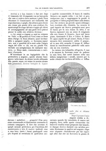 Natura ed arte rivista illustrata quindicinale italiana e straniera di scienze, lettere ed arti