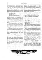 giornale/TO00189526/1899-1900/unico/00000942