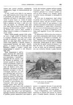 giornale/TO00189526/1899-1900/unico/00001013