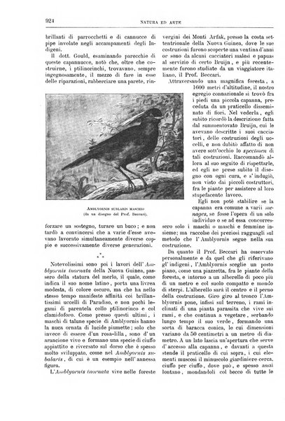 Natura ed arte rivista illustrata quindicinale italiana e straniera di scienze, lettere ed arti