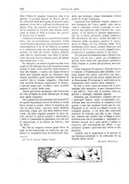 giornale/TO00189526/1899/unico/00000244