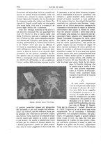 giornale/TO00189526/1899/unico/00000252