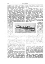 giornale/TO00189526/1899/unico/00000310