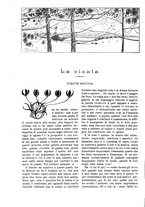 giornale/TO00189526/1899/unico/00000442