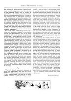 giornale/TO00189526/1899/unico/00000559