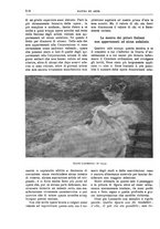 giornale/TO00189526/1899/unico/00000594