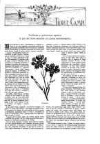 giornale/TO00189526/1899/unico/00000765