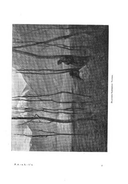 Natura ed arte rivista illustrata quindicinale italiana e straniera di scienze, lettere ed arti