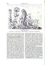giornale/TO00189526/1900-1901/unico/00000230