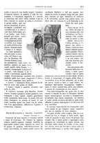giornale/TO00189526/1900-1901/unico/00000241