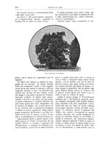 giornale/TO00189526/1900-1901/unico/00000288