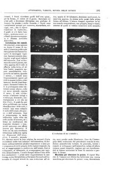 Natura ed arte rivista illustrata quindicinale italiana e straniera di scienze, lettere ed arti