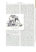 giornale/TO00189526/1900-1901/unico/00000384
