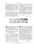 giornale/TO00189526/1900-1901/unico/00000400