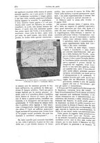 giornale/TO00189526/1900-1901/unico/00000406