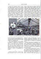 giornale/TO00189526/1900-1901/unico/00000772