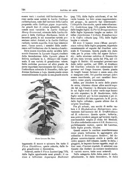 Natura ed arte rivista illustrata quindicinale italiana e straniera di scienze, lettere ed arti