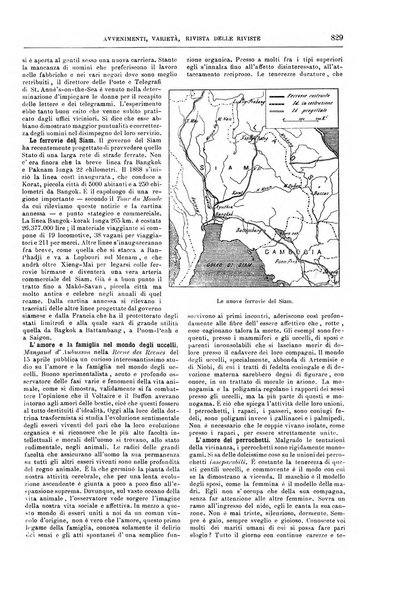 Natura ed arte rivista illustrata quindicinale italiana e straniera di scienze, lettere ed arti