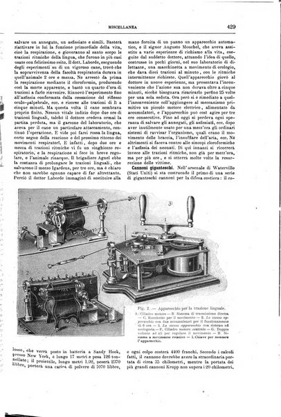 Natura ed arte rivista illustrata quindicinale italiana e straniera di scienze, lettere ed arti