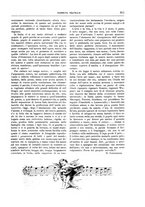 giornale/TO00189526/1900/unico/00000687