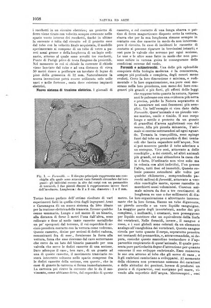 Natura ed arte rivista illustrata quindicinale italiana e straniera di scienze, lettere ed arti