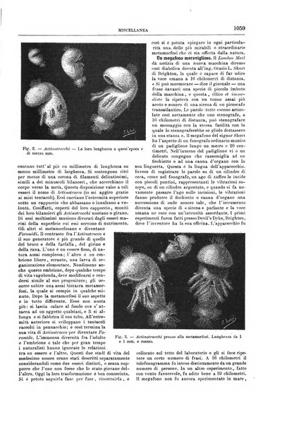 Natura ed arte rivista illustrata quindicinale italiana e straniera di scienze, lettere ed arti