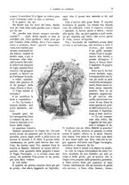 giornale/TO00189526/1901-1902/unico/00000019