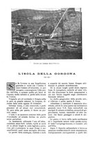 giornale/TO00189526/1901-1902/unico/00000053