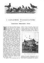 giornale/TO00189526/1901-1902/unico/00000121