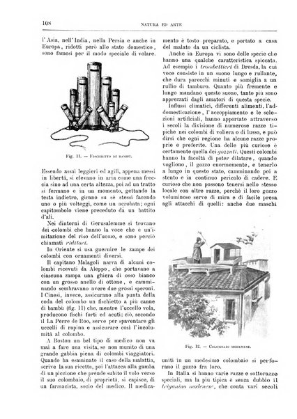 Natura ed arte rivista illustrata quindicinale italiana e straniera di scienze, lettere ed arti