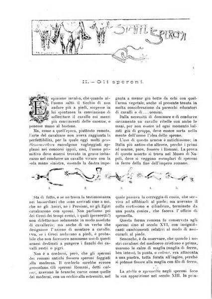 Natura ed arte rivista illustrata quindicinale italiana e straniera di scienze, lettere ed arti