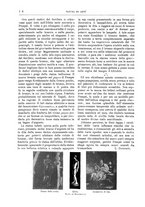 giornale/TO00189526/1901-1902/unico/00000178