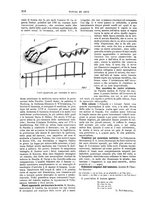 giornale/TO00189526/1901-1902/unico/00000242