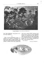 giornale/TO00189526/1901-1902/unico/00000297