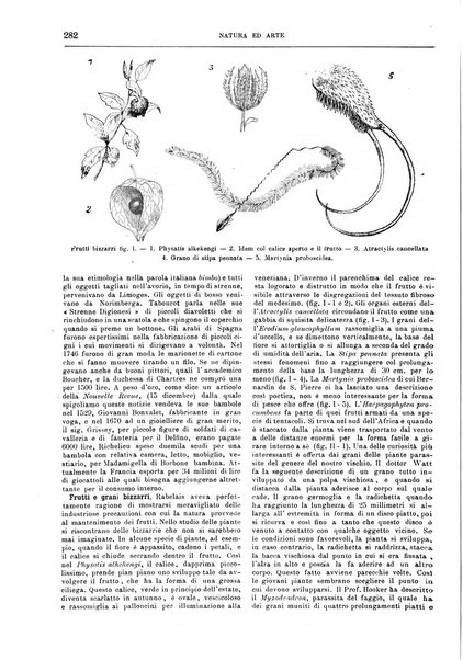 Natura ed arte rivista illustrata quindicinale italiana e straniera di scienze, lettere ed arti