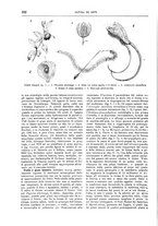 giornale/TO00189526/1901-1902/unico/00000312
